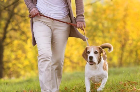 医院|50岁之后,睡前若能做到“6不要”,后半生少进医院,还增寿