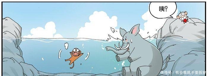 爆笑|爆笑校园:呆头家的小黑过生日,呆头用鸡蛋托盘给小鸟做鸟窝!