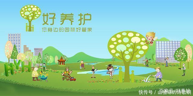 家中养一“皮实花”,一年四季都开花,开得比绣球花还旺!