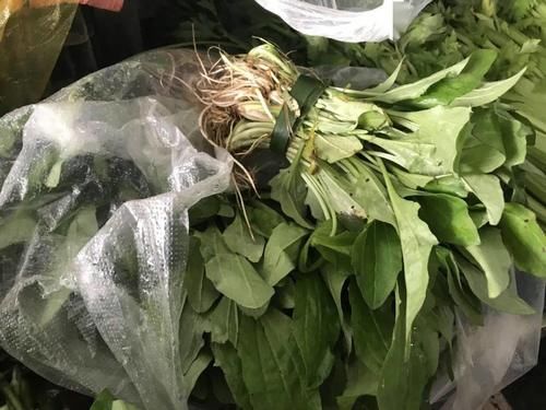 太全了！红河春季野菜大合集来了，快来圈出你最爱哪道菜？