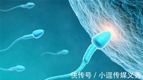 排出体外|“精子”进到女生体内后, 除了“受精”, 都会跑到哪里去