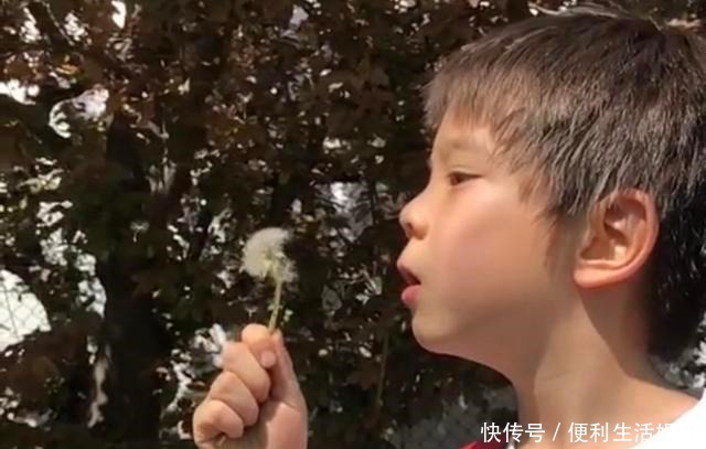 硬汉传承嗯哼剃板寸!杜江调侃有一种热叫霍思燕嫌你热