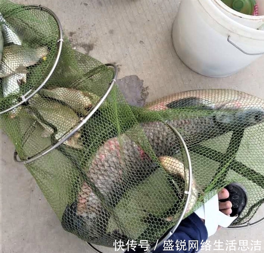 谨记|夏天野钓谨记这几点,新手变高手,原来钓鱼也有套路