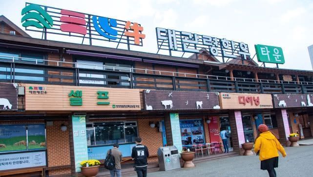 在韩国吃过的最过瘾一次“烤牛肉”,份量大,想起来就流口水