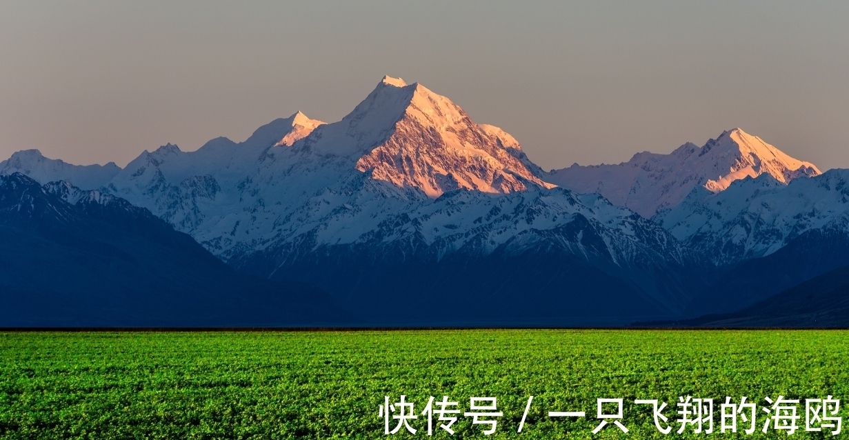 大局观|格局大，不纠缠，不贪婪的星座，拥有大智慧，却偏偏喜欢装傻充愣