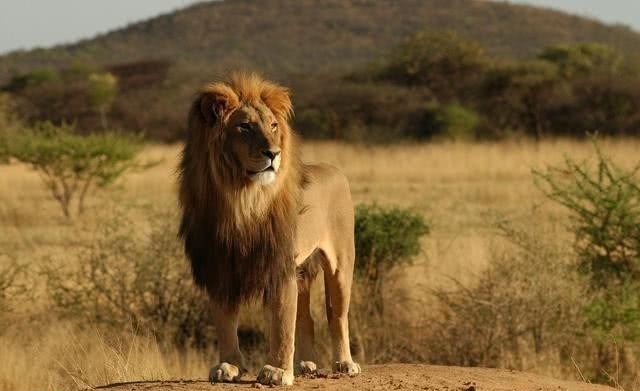 黎季犛|聊一聊朱棣征讨越南，大国的愤怒难平息