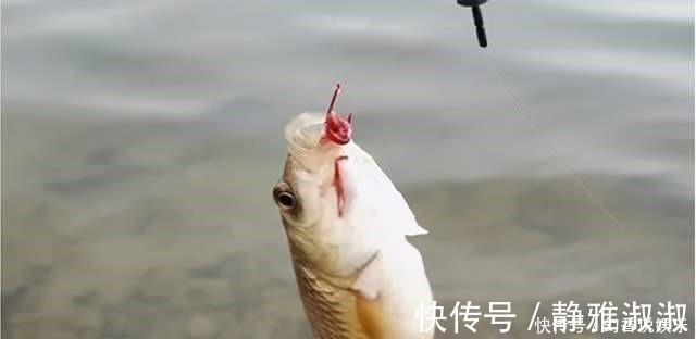 冬钓想要有鱼口,一动不如一静,冬钓想要有渔获,一静不如一动