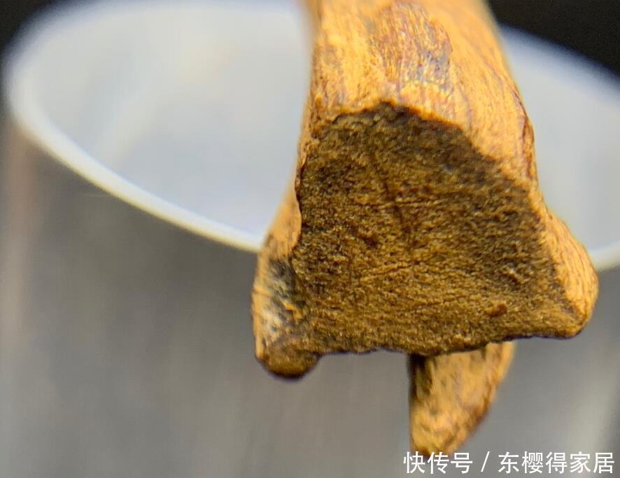 院子里有空地，就种“四大名贵树”，越大价值越高