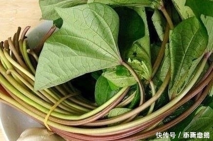 好处|此种叶子很营养,每天炒一盘,排毒养颜、减肥瘦身,对身体好处多