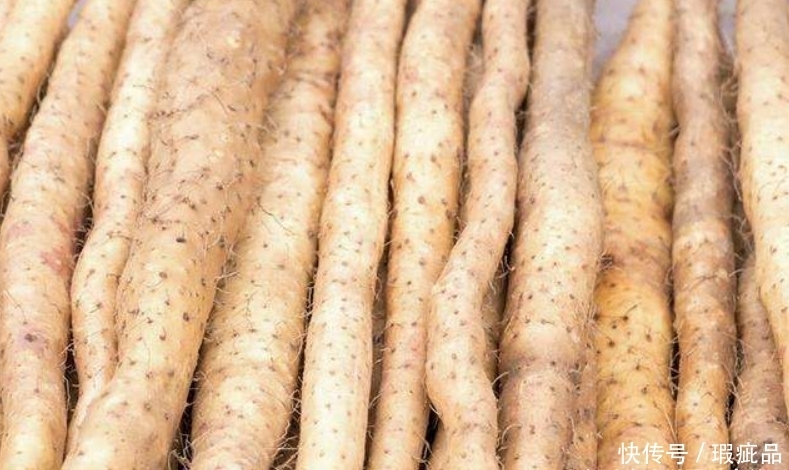 截面|买山药时,选粗的还是选细的?菜农教您一招,以后别再买错了