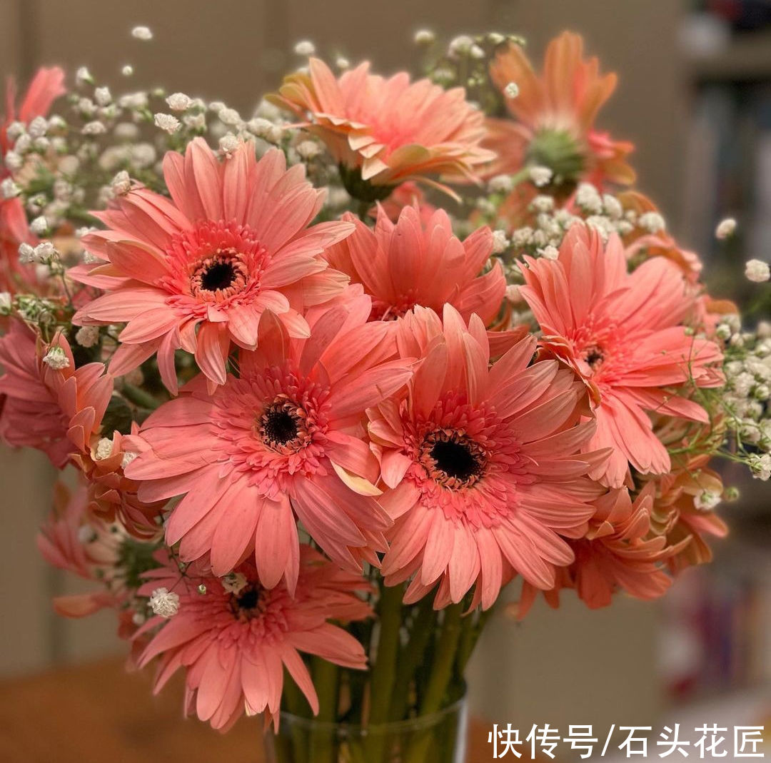 它是“多功能”花卉，可以切花、盆栽、地栽，开花颜值高