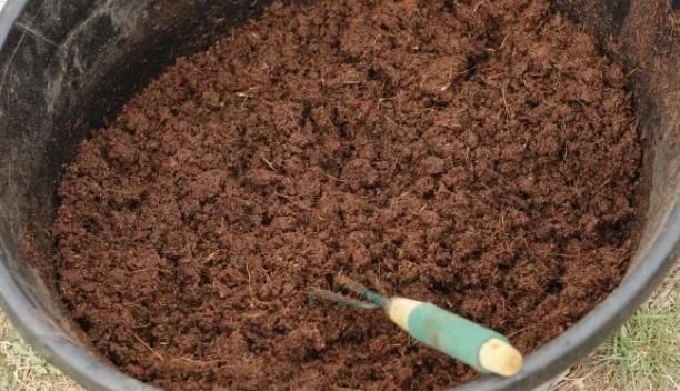 遍寻不到“酸性土”的情况下，该怎么让养花土从碱性变酸性？