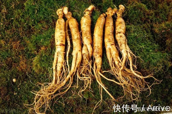 浸泡|养生酒怎么泡制;泡酒的药材怎么处理;叶其芳养生酒家教你避免泡酒误区