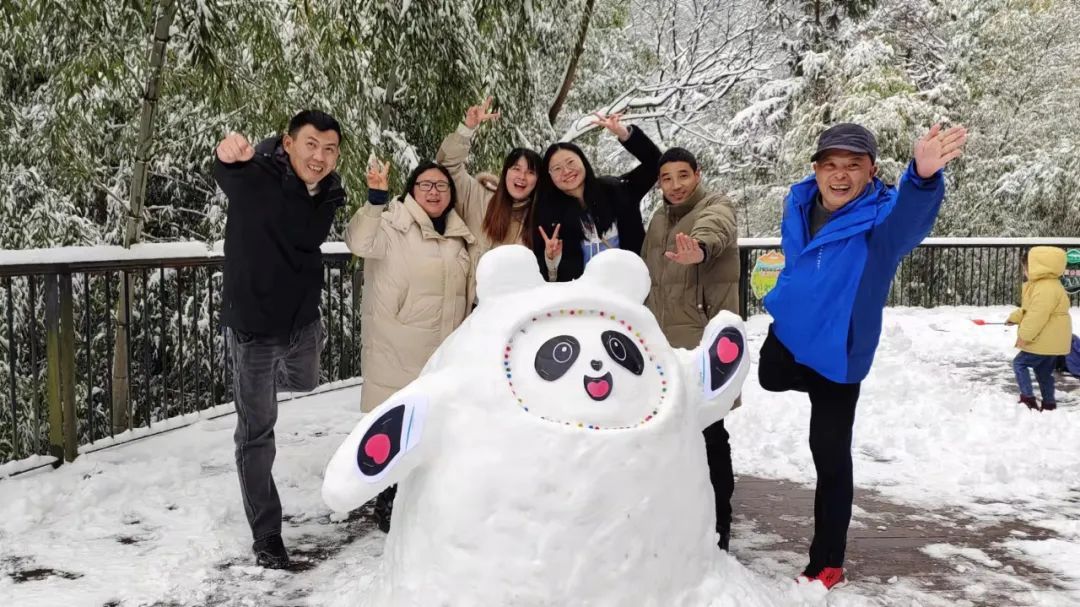 一夜之间|赏绝美雪景，邂逅野生小动物！