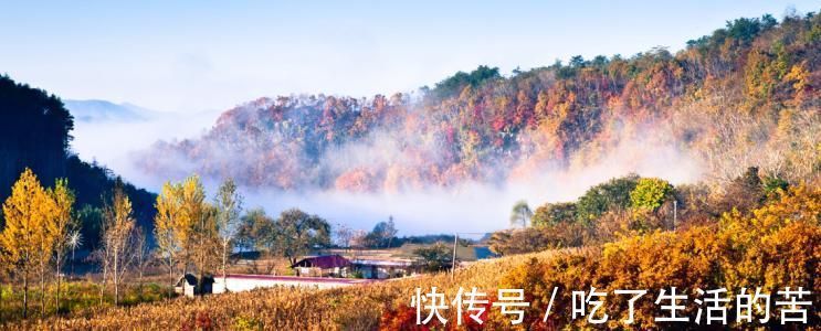 森林公园|最美秋季带您感受别样风景