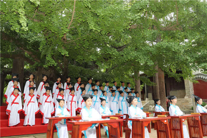 同学们|山东日照：与古树对话 体验传统文化