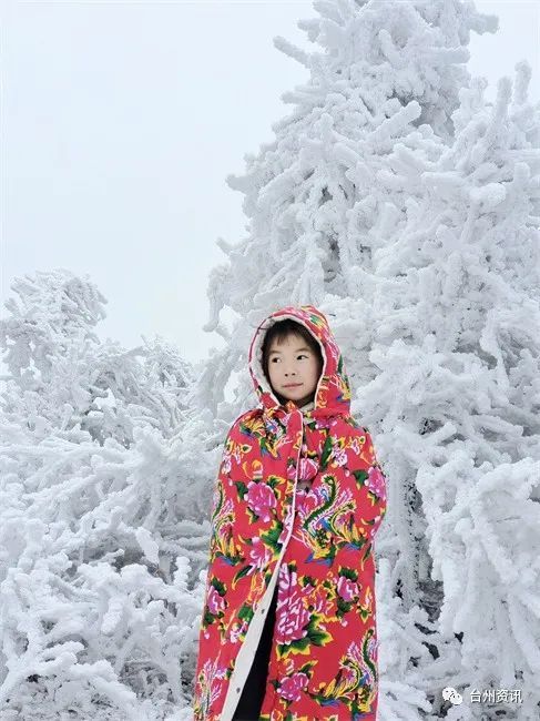 美景|天台大雷山雾凇美景玉树琼枝晶莹剔透令人神往！