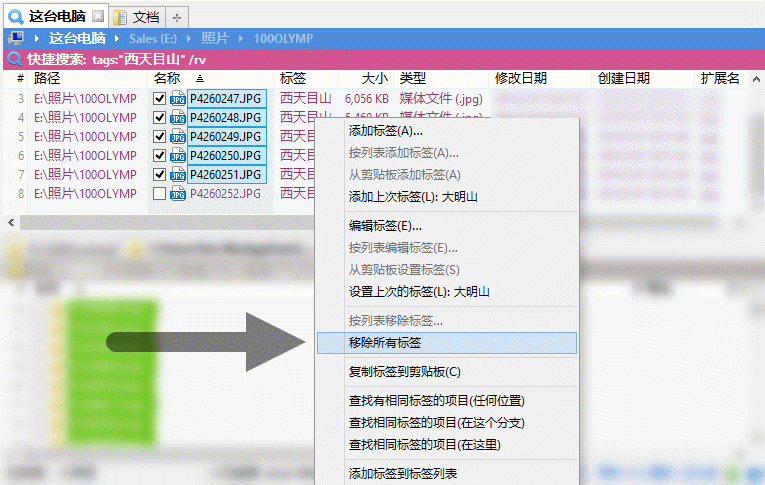 强大便携的多标签文件管理器 XYplorer v23.00.0000 简体中文特别版