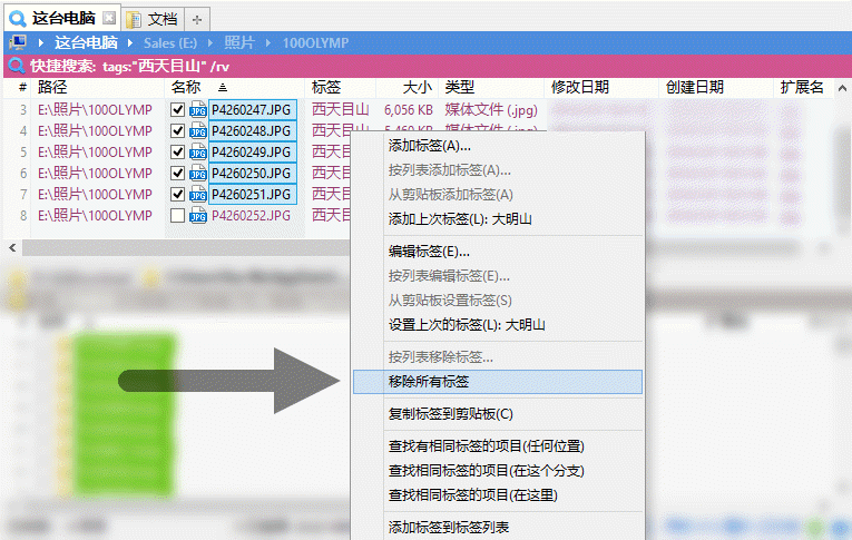 XYplorer: 强大便携的多标签文件管理器 v21.80.0100-423下载站
