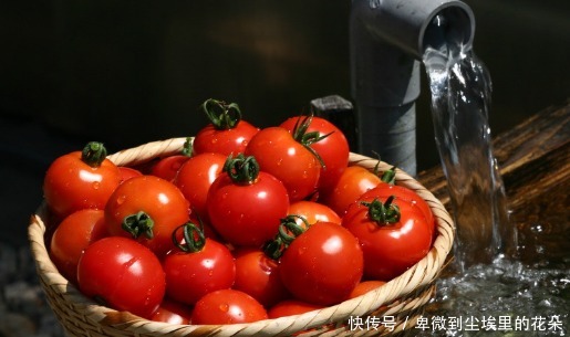 番红素|夏季防晒小妙招,还不赶快来看一看吗看完赶紧科普给朋友吧!