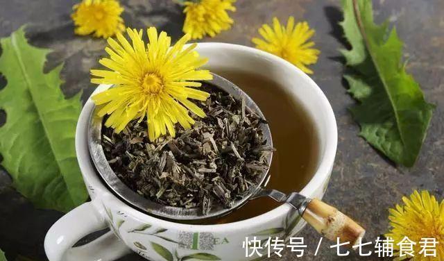 蒲公英水|长期用蒲公英泡水的人注意:别误信谣言,这1个才是真正的功效
