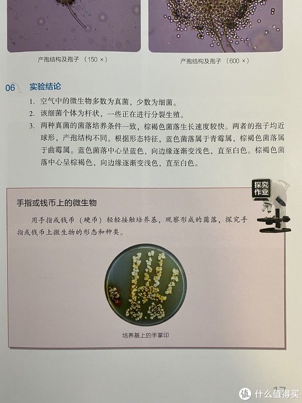 不吃灰的生日礼物（2）——三目显微镜翻车玩法