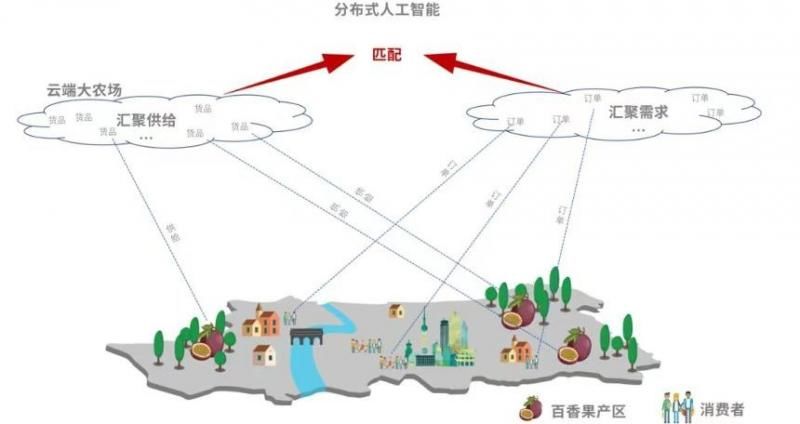 农产品|联合国粮农组织发布首份数字农业报告，拼多多助农模式受关注