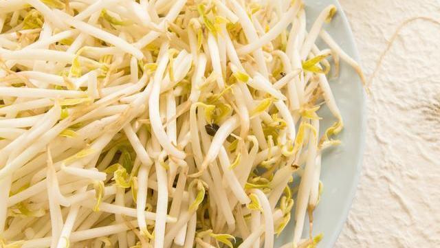 夏天|炎热的夏天,绿豆3天就能发芽,一碗绿豆发一盆,再也不用买了