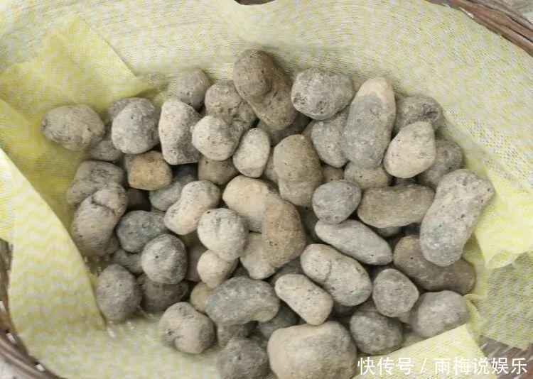 花盆|用篮子种多肉,红灿灿的超好看,瞬间变身高档花盆!