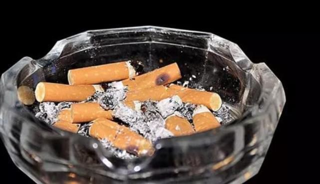 烟灰、花生壳别扔?防烂根、驱虫子,放盆里做花肥最棒了