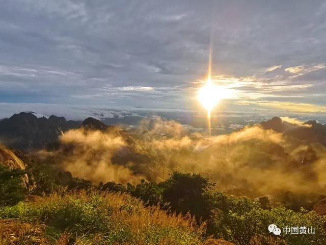 吴立新|云游雨后黄山 美景如画好似仙境