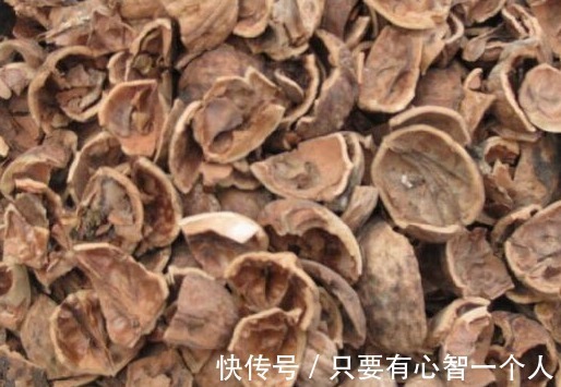 老中医|核桃壳不要扔了!老中医扔掉的可多数宝啊,几个功效需明白
