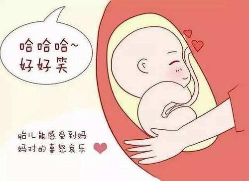 小雅|胎儿每天在妈妈肚子里忙什么?除了吃和睡,他们有好多事情要忙!