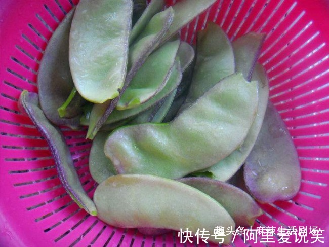 我家一年吃几十斤,清脆鲜嫩,赶走湿气,家人常吃脾胃好