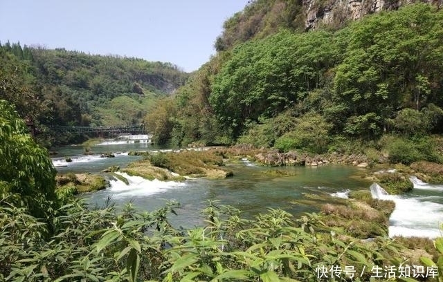 贵州旅记｜黄果树大瀑布，山脚下的龙须菜与竹叶菜