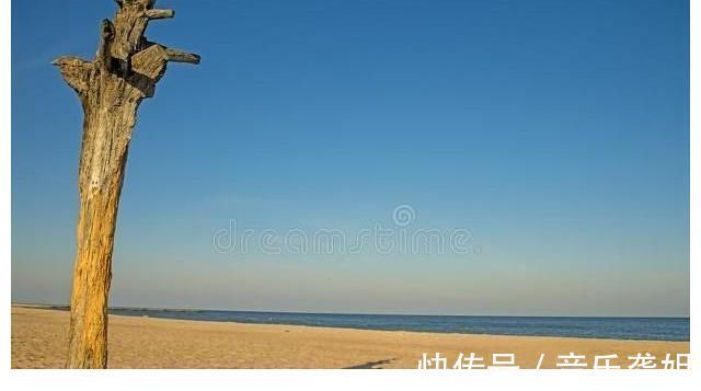 《荒岛余生》:一个带血的排球,一个灵魂的救赎。建议收藏