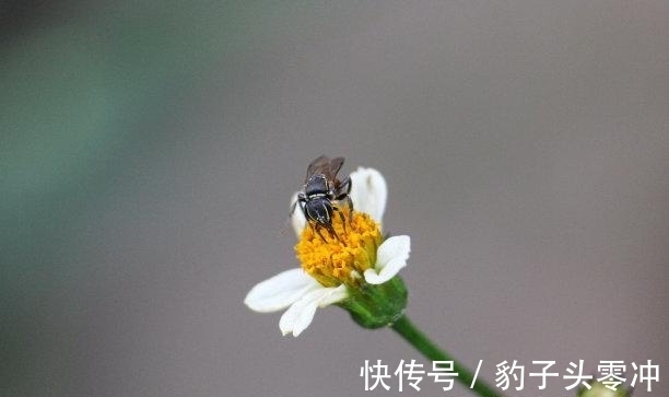 前任|未来4天，朋友却很多，不再停留，三大生肖感动前任