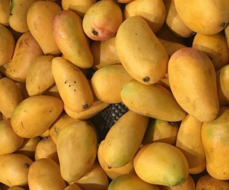 五味子茶|很有营养的3种食物,值得天天吃一些,美容养颜,身体棒棒哒!