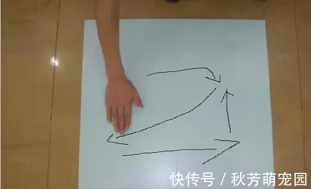 品牌|买瓷砖不要只关注价格,这四点同样重要!教你如何选瓷砖省钱