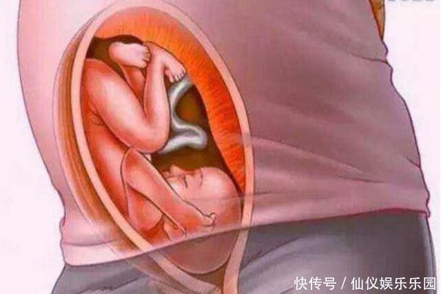 孕育生命究竟是什么样的？十张图带你看怀孕全过程，生命来之不易