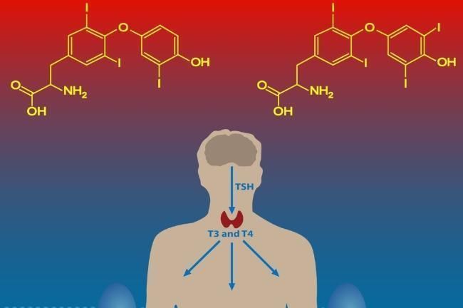 分泌量|男性不改掉这五个习惯，雄激素早晚会“告急”，很多男性身不由己