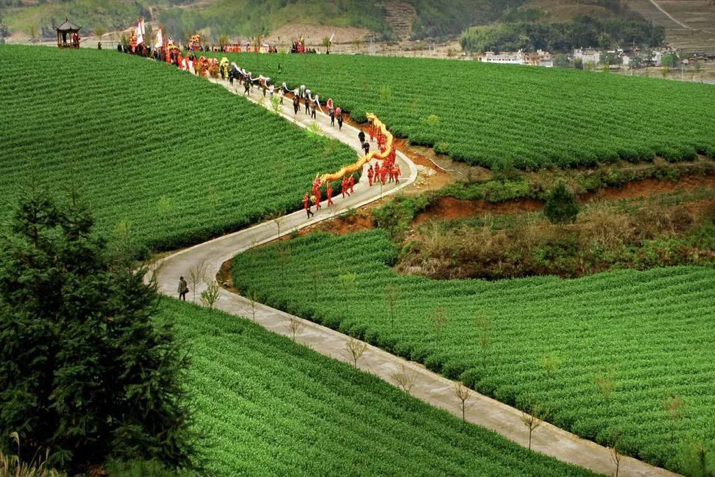 福建省最美休闲乡村——三明清流县南山村