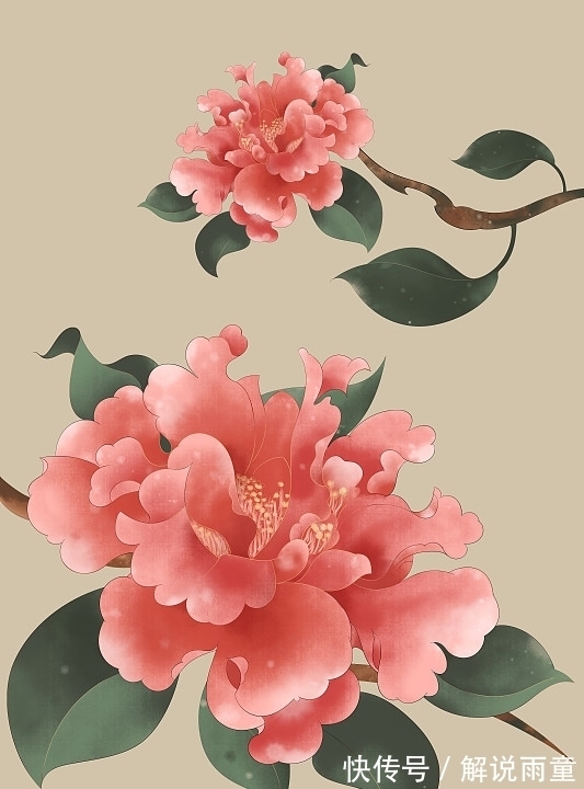 对韵&十大名花对韵:春来我不先舒蕊,雪里凭谁敢放花