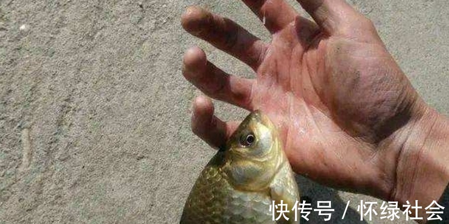 冬钓|冬钓时,唯独这3种窝料才最实用,简单又省事,大鲫鱼一诱一大群