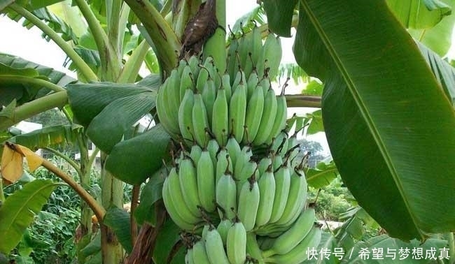 就那么点事,庸人自扰之,悟空摸摸头上的金箍为什么没有了