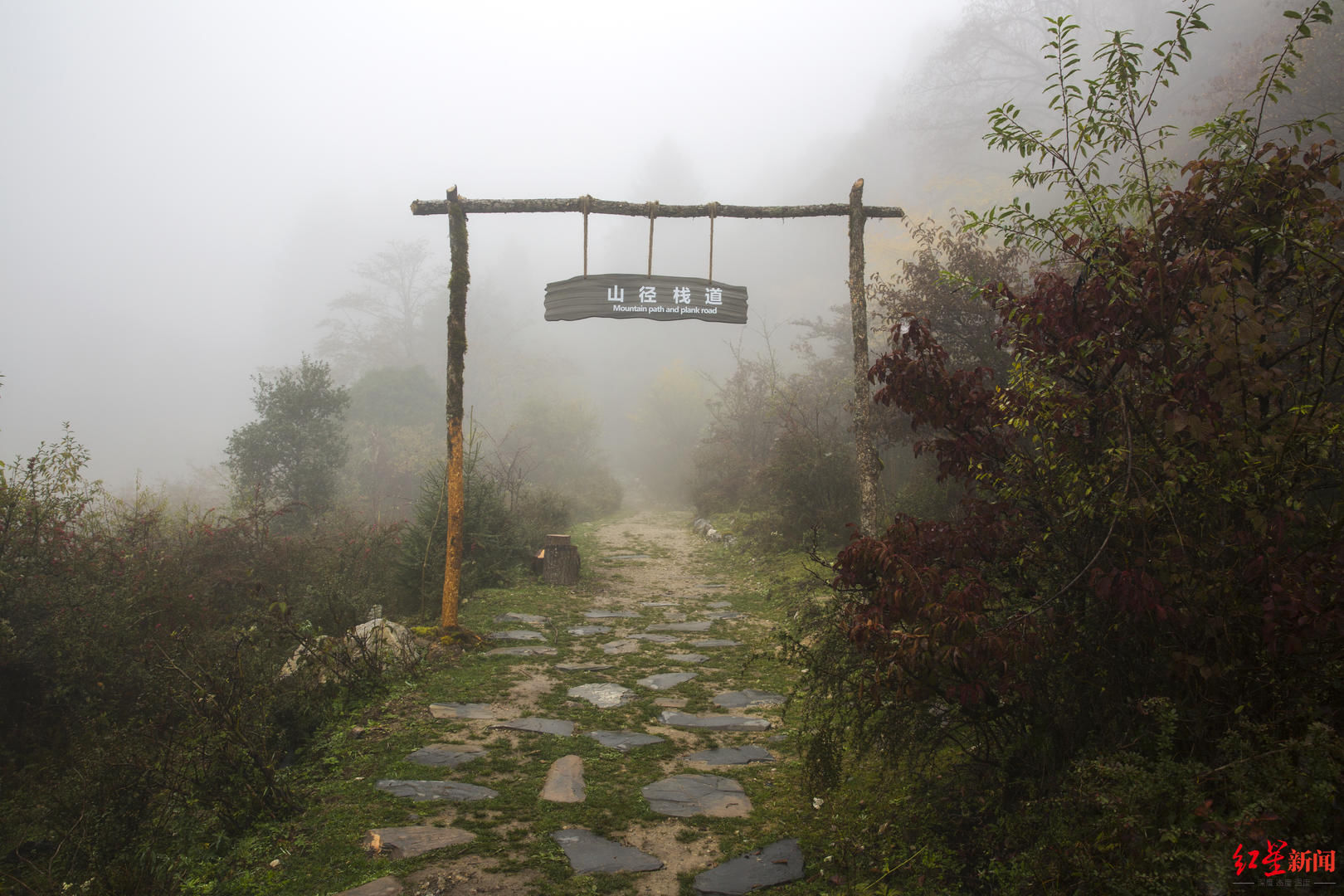 大熊猫|走进九寨新12景｜深山秘境甲勿海 大熊猫“民宿”住着4只可爱的滚滚