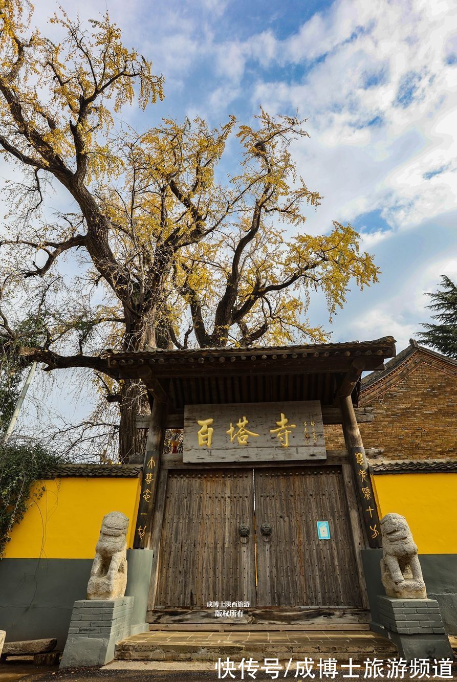 寺院|西安百塔寺为佛教三阶教祖庭，然而并没有塔，只有一棵千年银杏