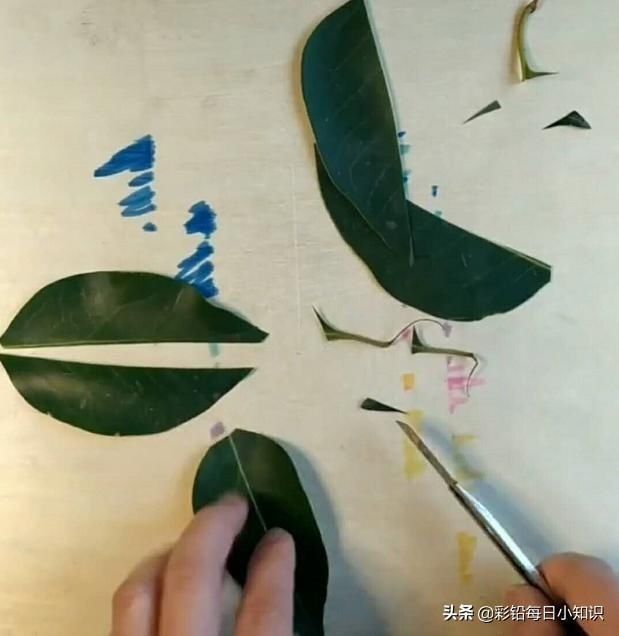 生用|美术生用树叶拼成一幅画,开始有点迷惑,结果比画的也不差