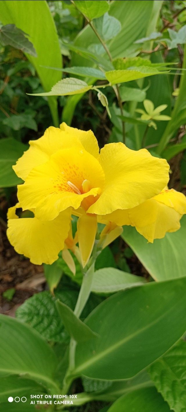 书生#有才华却一生贫穷的人,都有这些毛病,请珍惜福报