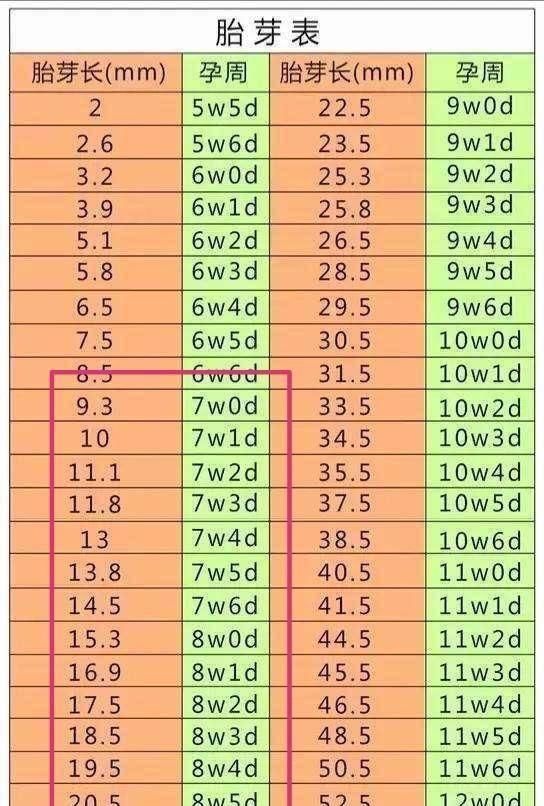 健康|孕早期,孕妈第一次产检,如果三个指标合格,恭喜你,胎儿很健康